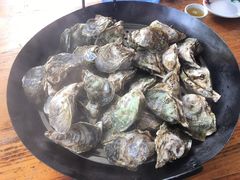 蒸海岛蚝-邹记·美食(斗门店)