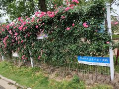 -武汉紫薇都市田园