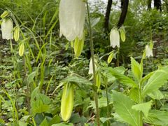 -玉渡山风景区-售票处