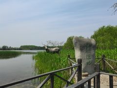 -溱湖国家湿地公园