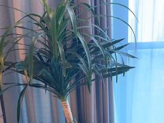 -鸽子侯·家宴·平价海鲜(绿地店)