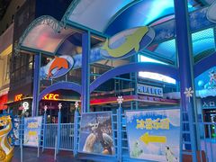 -海合安青岛极地海洋公园