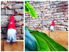 大堂-VOYAGE COFFEE(北锣鼓巷店)