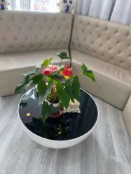 -痘博士天津·全国连锁祛痘机构