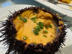海胆炖蛋-万宝海鲜舫(劳动公园店)