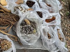 -大连天门山国家森林公园