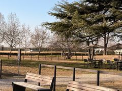 -汉长安城未央宫国家考古遗址公园