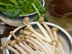 -烹然四季椰子鸡火锅(团结湖总店)