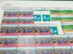 -中国邮政储蓄银行(政本路营业所)