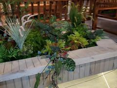 -陶然居·重庆菜(解放碑店)