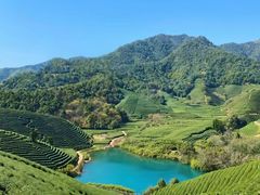 -龙坞茶村