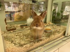 -龙猫仔乐园(惠福东路店)