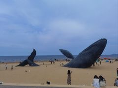 -映像烟台·海鲜·地道鲁菜(黄山路店)
