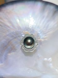 -GiO挚澳珠宝(侨福芳草地店)