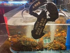 -雍容荟帝王蟹活龙虾展台自助(IFS黑金店)
