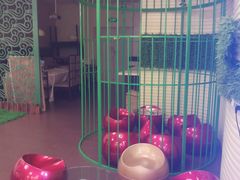 -大胖骨汤火锅(裕华店)