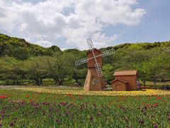 -苏州上方山国家森林公园