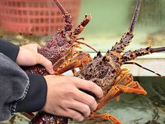 -海世船说·海鲜餐厅(南昌店)