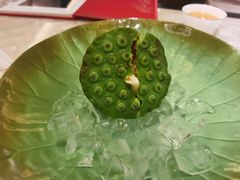 -人间采蜜(海信广场店)