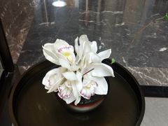 -大连金石滩绿发温泉假日酒店