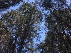 -贮水山儿童公园