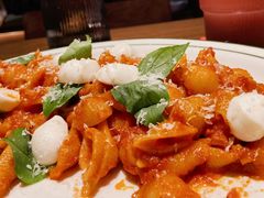 -ZAFFERANO西班牙海鲜饭(上海首店)