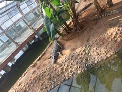 -石家庄市动物园