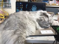 -听TA说宠咖·宠物生活馆(天韵水岸店)