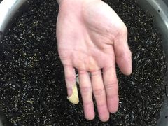 -绝味鸭脖(五一广场店)