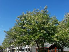 -东海森林温泉度假酒店