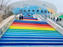 -海合安青岛极地海洋公园