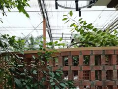 -金稼园·金平湖农家菜
