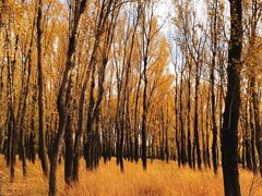 -野鸭湖国家湿地公园