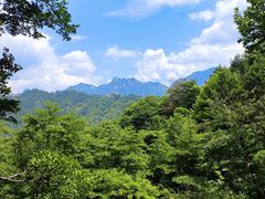 -九华山风景区