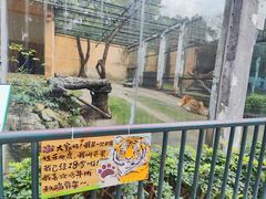 -柳州市动物园