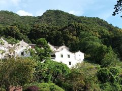 -雁南飞茶田景区