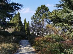 -白塘生态植物园
