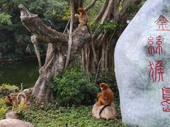 -深圳野生动物园