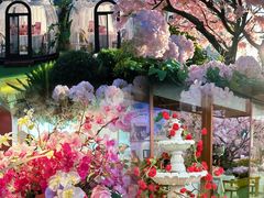 -泰尚臻Siam Essence