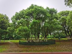 -艾溪湖湿地公园
