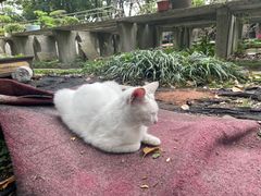 -西园戒幢律寺