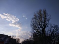 -北海道厅旧本厅舍(旧本庁舎)