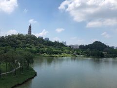 -顺峰山公园