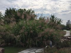 -白塘生态植物园
