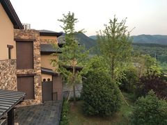 -浙江安吉JW万豪酒店·万豪中餐厅