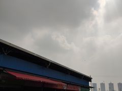 -双福水果批发市场