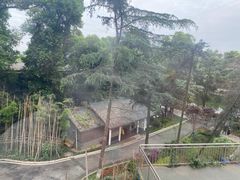 -塔子山公园