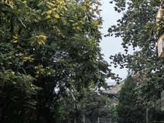 -景明轩•养生酸汤鱼火锅 云贵鲜菌 现舂野果酸汤(王寨小区店)