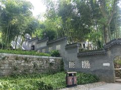 -镇江市南山风景名胜区竹林景区