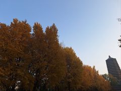 -玲珑塔公园